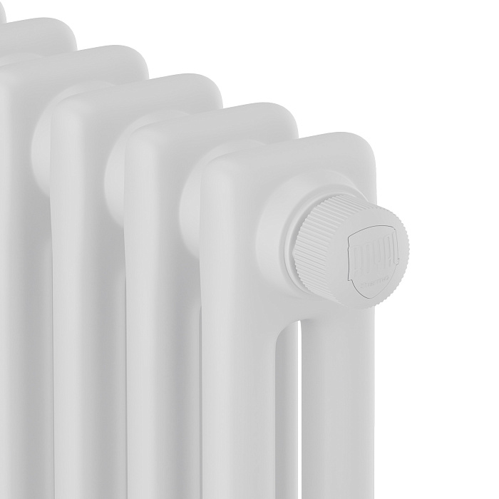 Дизайн-радиатор Royal Thermo Insignia C2180 - 04 секц. RAL9016 (белый) фото2