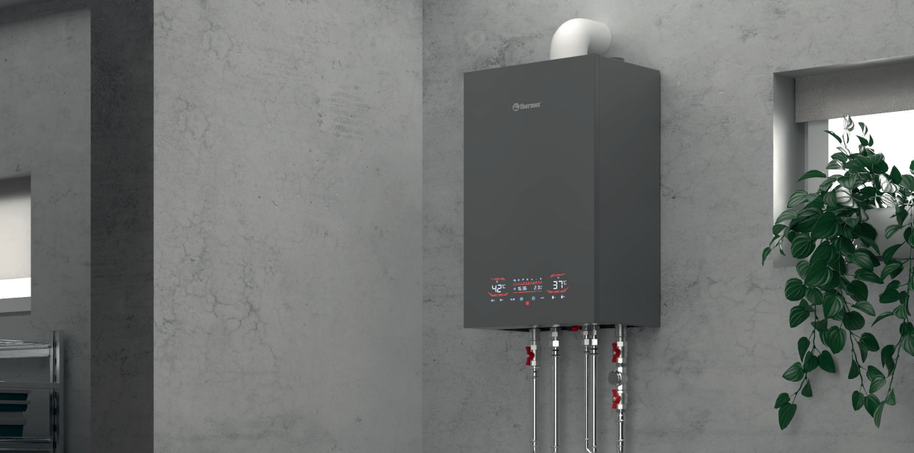 Газовый котёл THERMEX ANTARES FH24 фото3