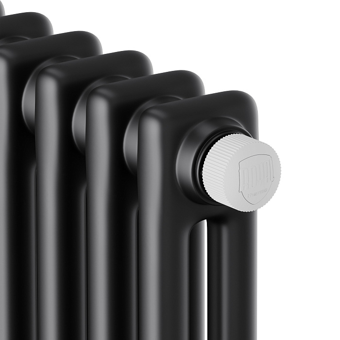 Дизайн-радиатор Royal Thermo Insignia VC2180 - 08 секц. RAL9005m (черный) фото2